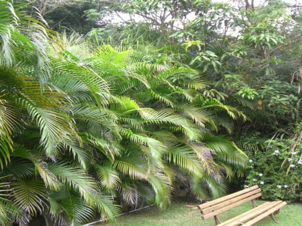Htl Telhado Verde 3*